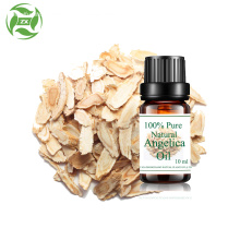 wholesale Fresh cold pressed angelica essential oil